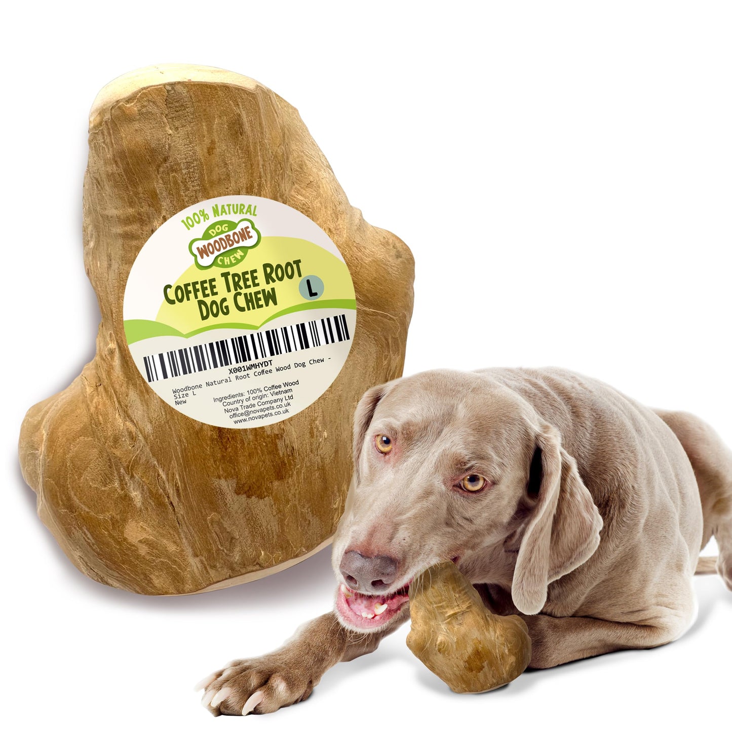 Coffee Root Dog Chew Toy – Natural & Durable