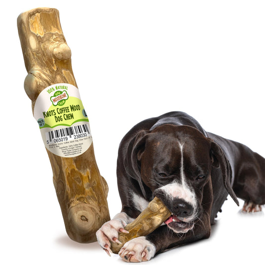 Woodbone natural coffee and olive wood dog chew bundle