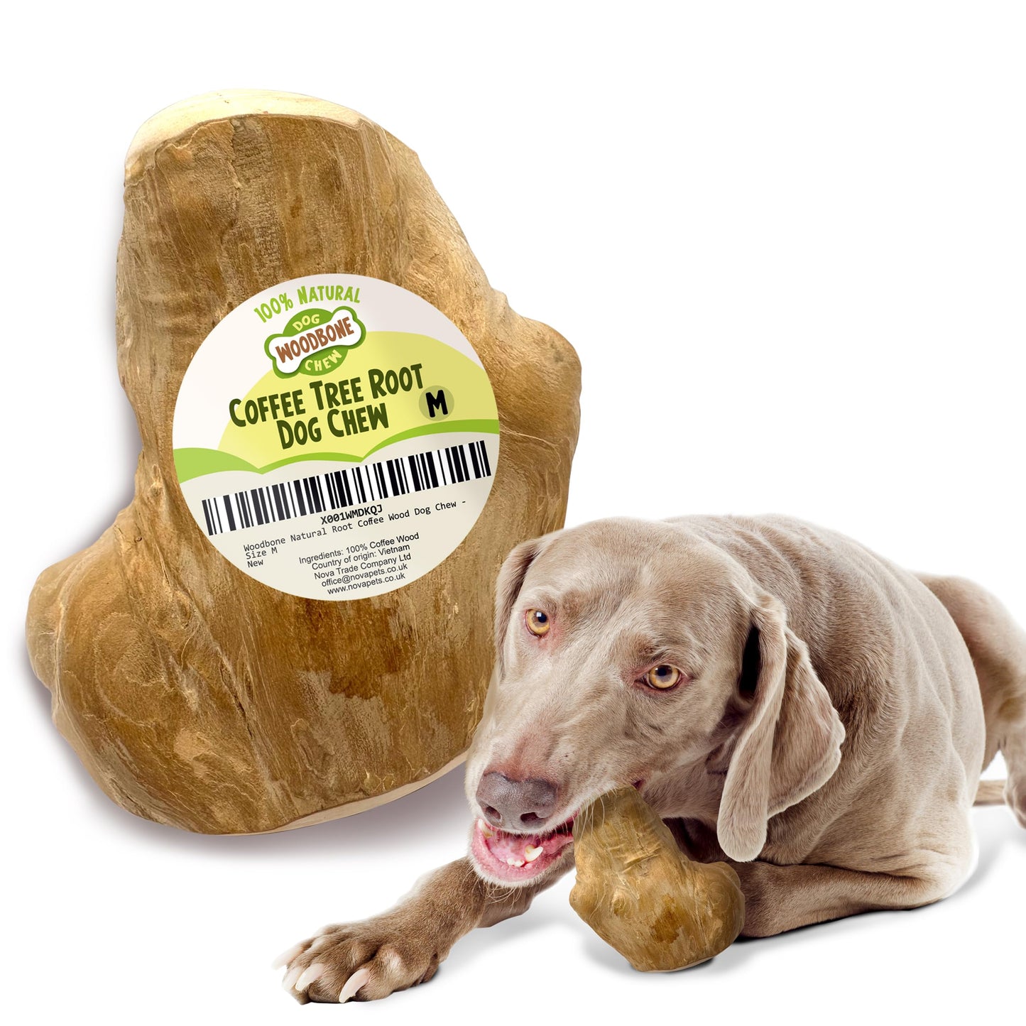 Coffee Root Dog Chew Toy – Natural & Durable