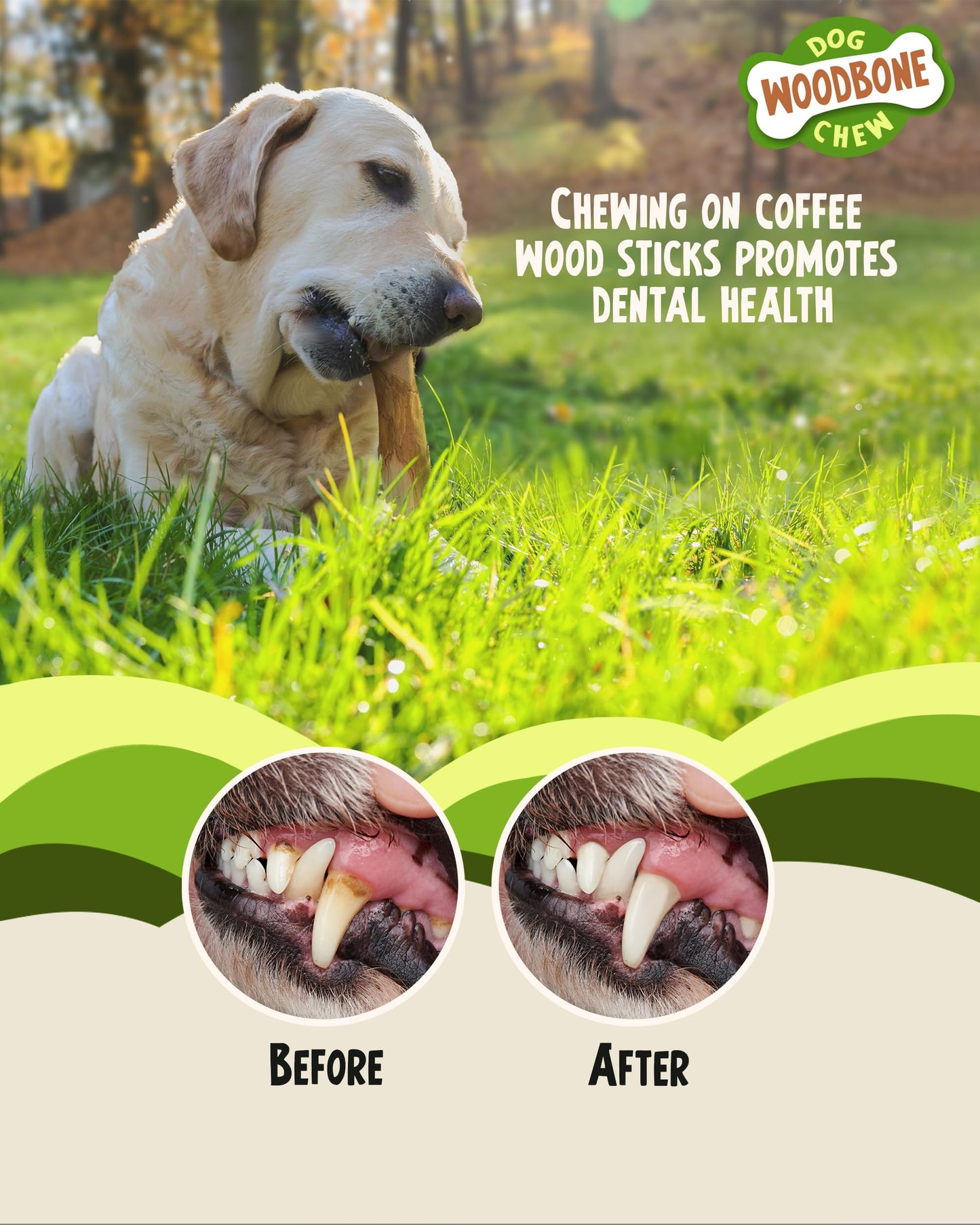 Coffee Root Dog Chew Toy – Natural & Durable