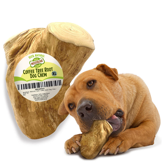 Coffee Root Dog Chew Toy – Natural & Durable
